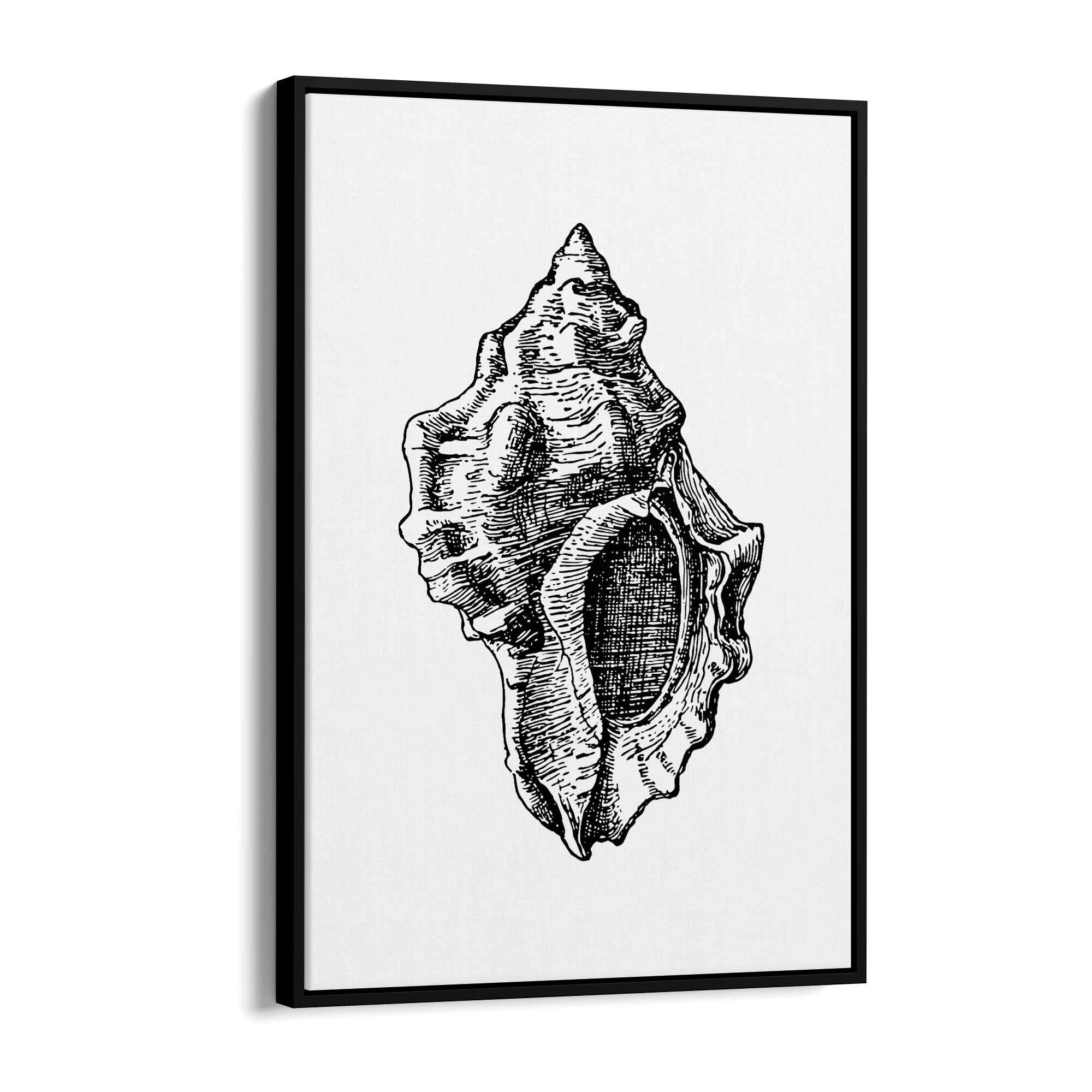 Sea Shell Drawing Coastal Nautical Theme Wall Art - The Affordable Art Company