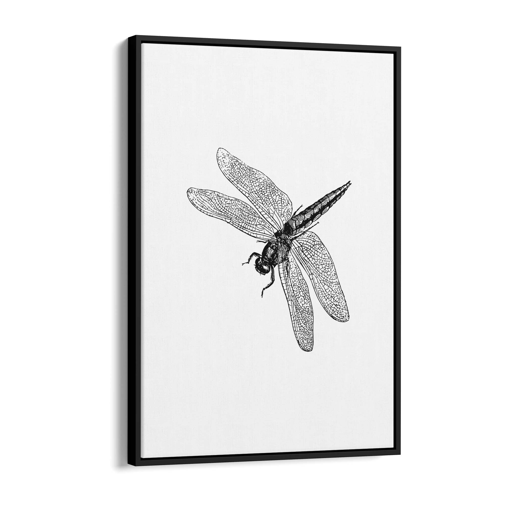 Dragonfly Drawing Insect Minimal Artwork Wall Art #2 - The Affordable Art Company