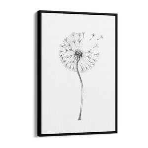 Dandelion Drawing Minimal Flower Wall Art #1 - The Affordable Art Company
