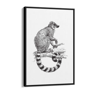 Possum Drawing Animal Wall Art - The Affordable Art Company