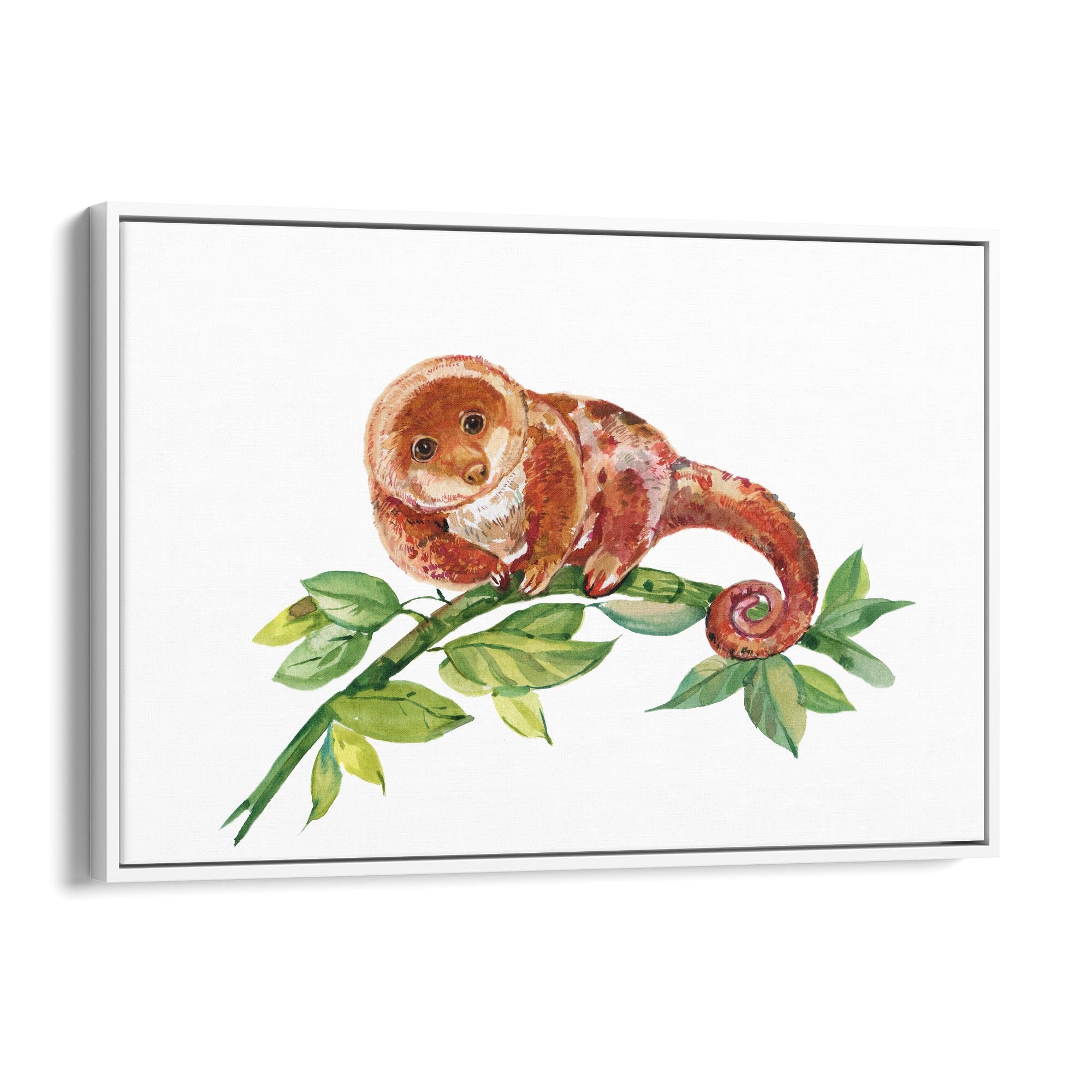 Australian Tree Kangaroo Painting Animal Wall Art - The Affordable Art Company