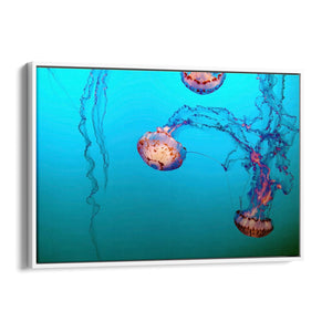 Deep Blue Jellyfish Neon Photograph Wall Art - The Affordable Art Company