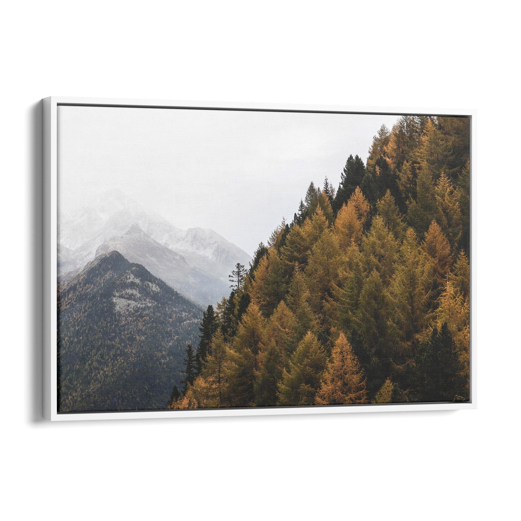 Autumn Forest Nature Photograph Green Wall Art #1 - The Affordable Art Company