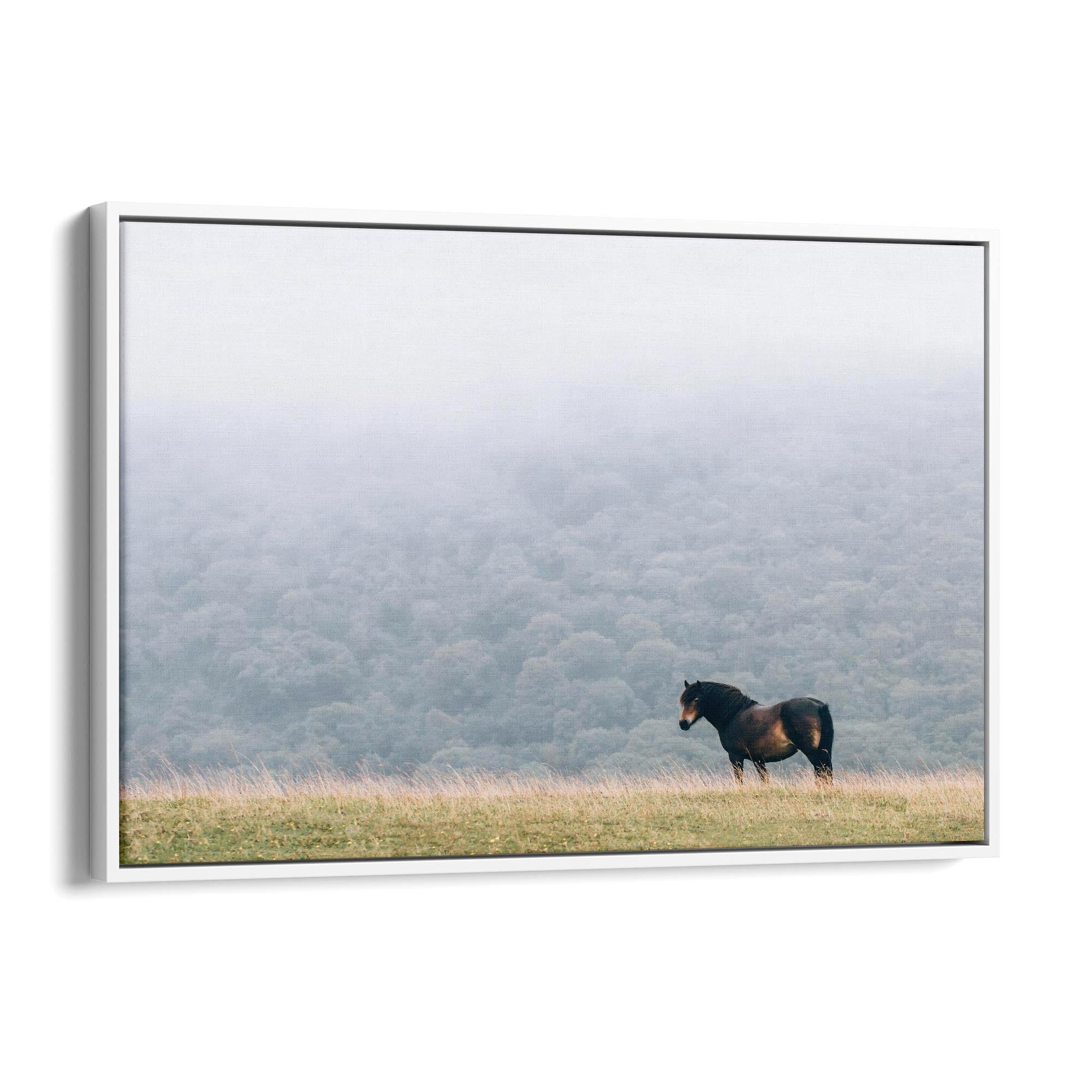 Lone Horse Landscape Photograph Nature Wall Art - The Affordable Art Company