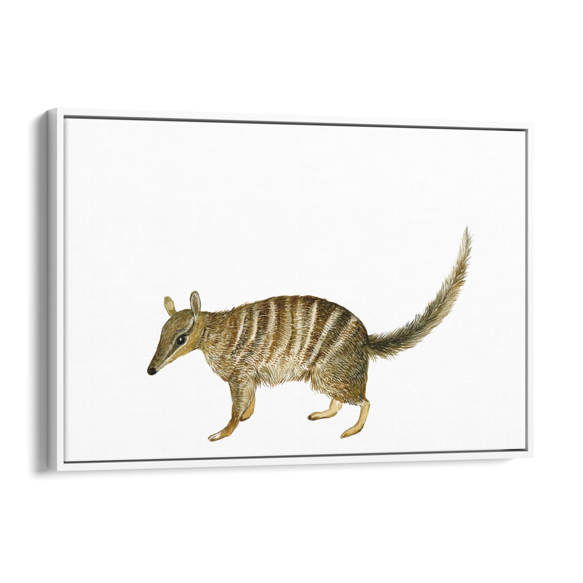 Australian Anteater Painting Animal Nursery Art - The Affordable Art Company