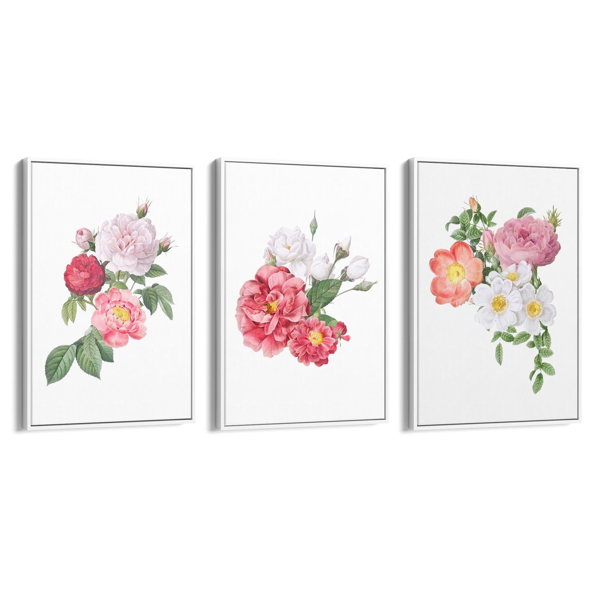 Set of Floral Botanical Flower Kitchen Wall Art