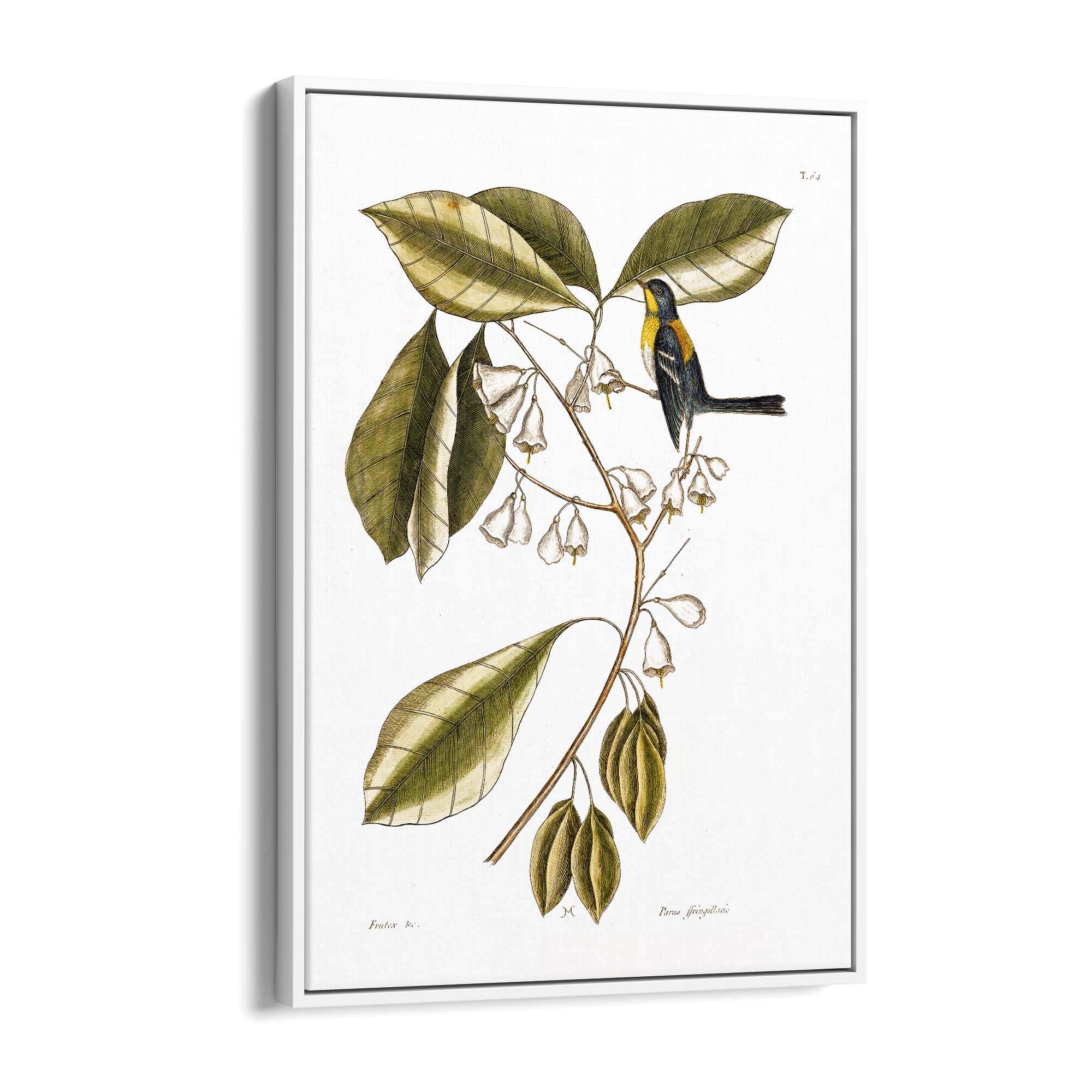 White Flower Vintage Botanical Kitchen Wall Art #1 - The Affordable Art Company