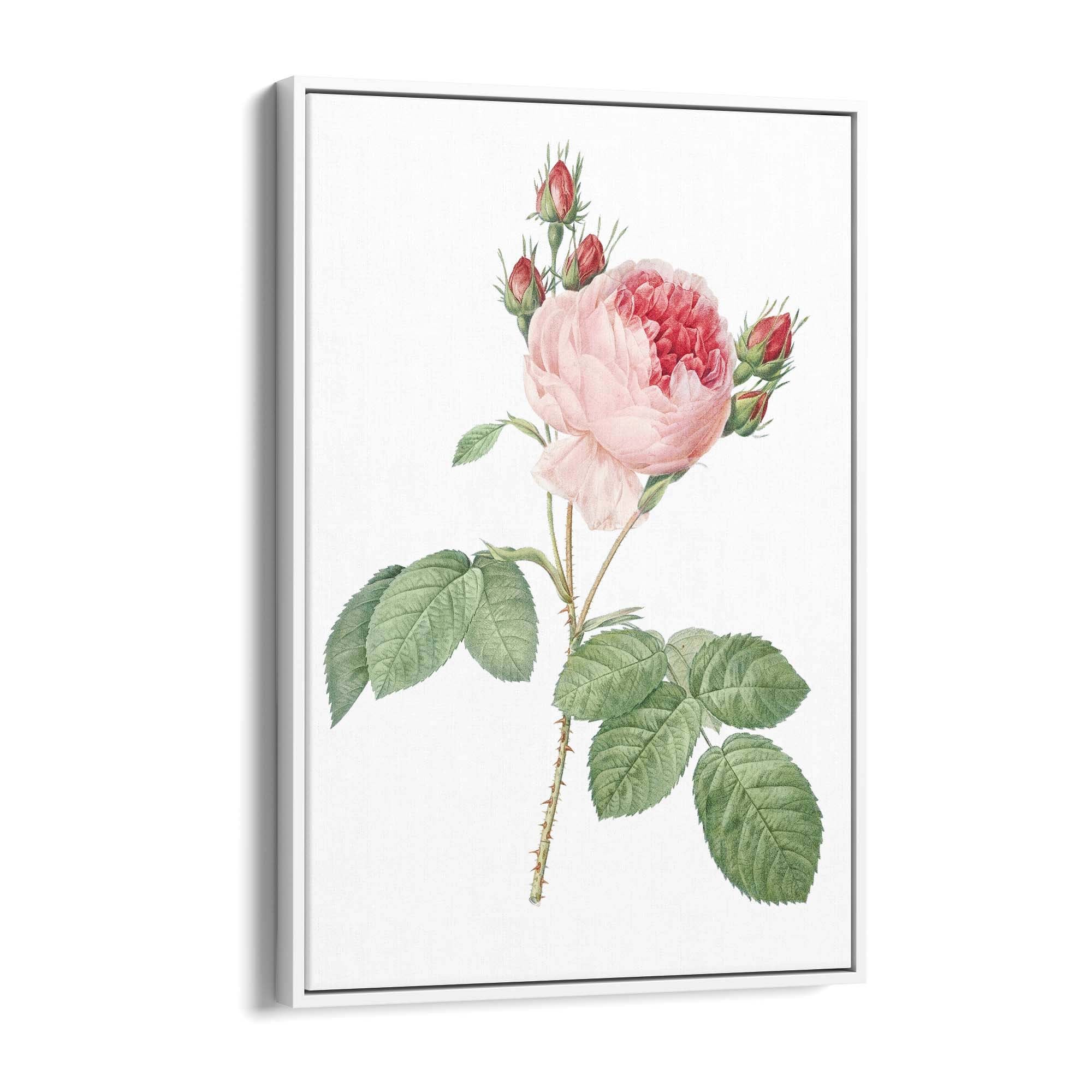 Flower Botanical Painting Kitchen Hallway Wall Art #36 - The Affordable Art Company