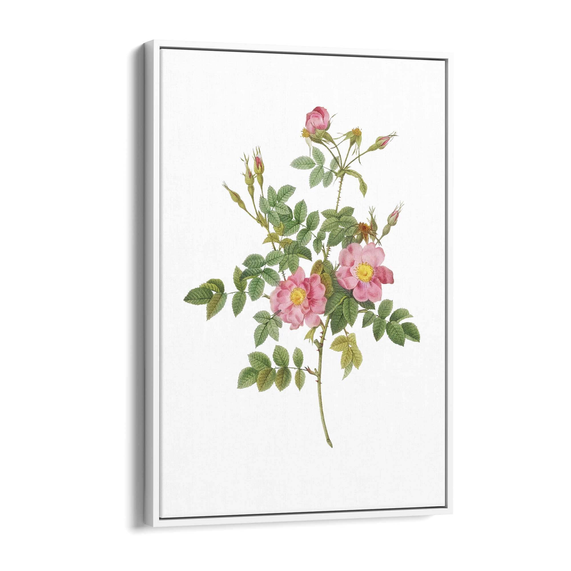 Flower Botanical Painting Kitchen Hallway Wall Art #47 - The Affordable Art Company