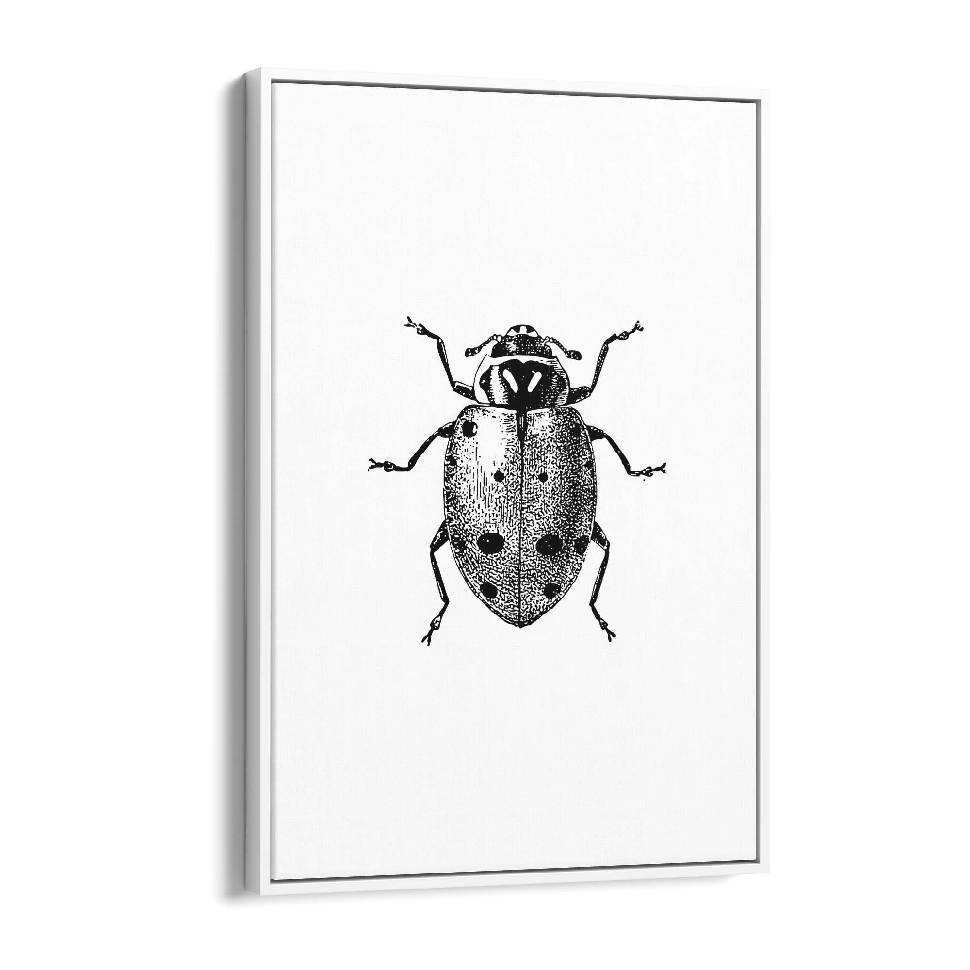 Ladybird Detailed Drawing Insect Office Wall Art - The Affordable Art Company