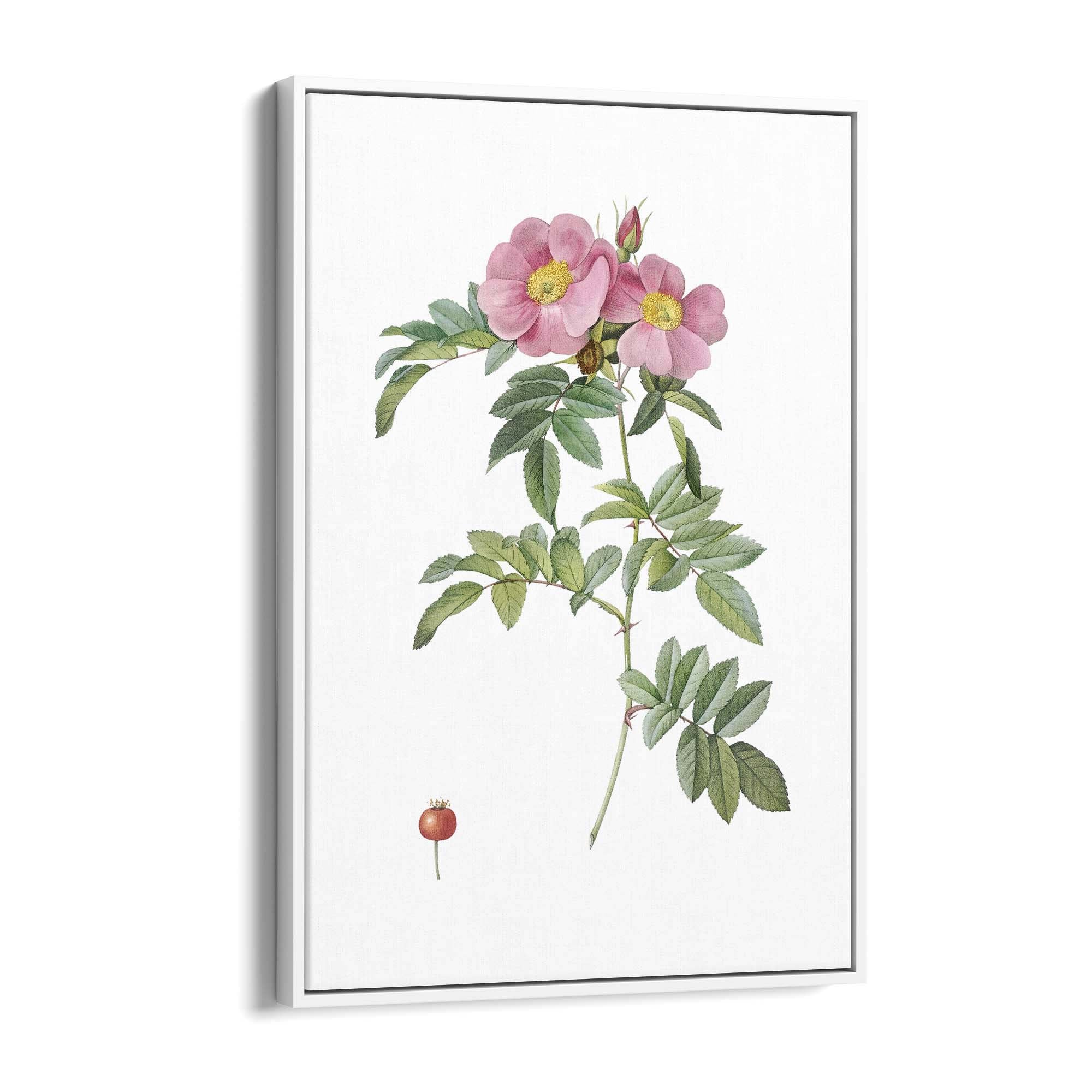 Flower Botanical Painting Kitchen Hallway Wall Art #32 - The Affordable Art Company