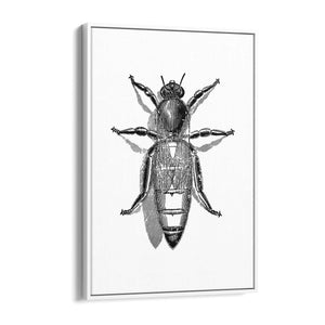Queen Bee Drawing Insect Honey Wall Art - The Affordable Art Company