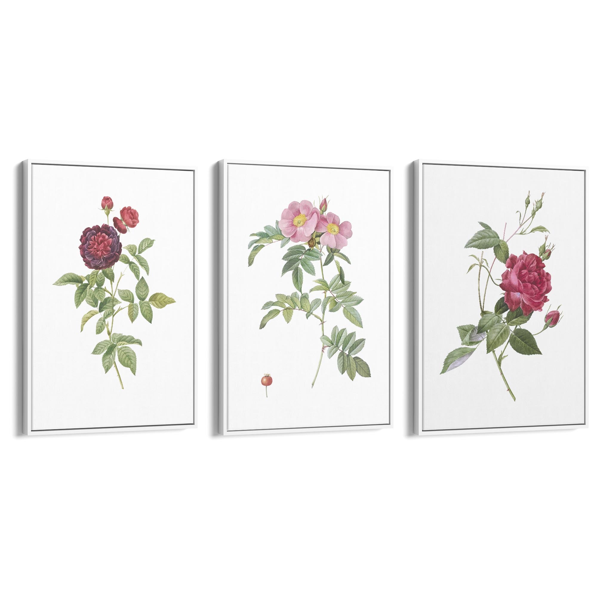Set of Red & White Flower Botanical Wall Art - The Affordable Art Company