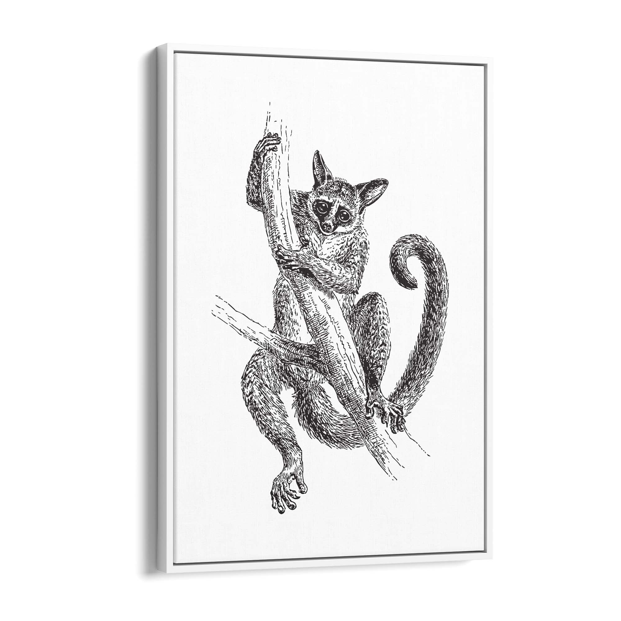 Lemur Detailed Drawing Animal Wall Art - The Affordable Art Company