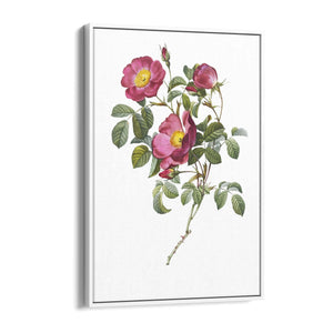 Flower Botanical Painting Kitchen Hallway Wall Art #41 - The Affordable Art Company