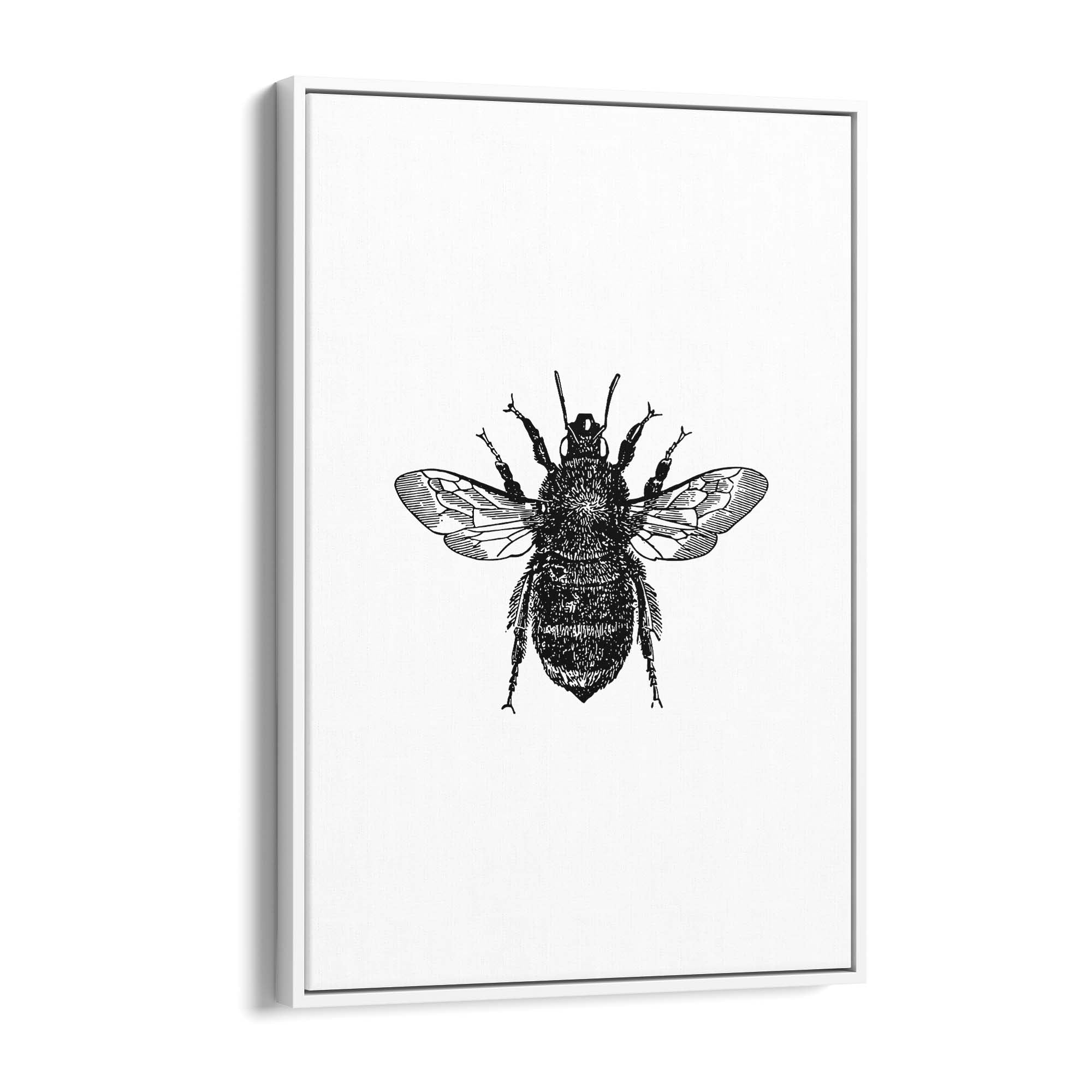 Bumblebee Drawing Insect Minimal Wall Art - The Affordable Art Company