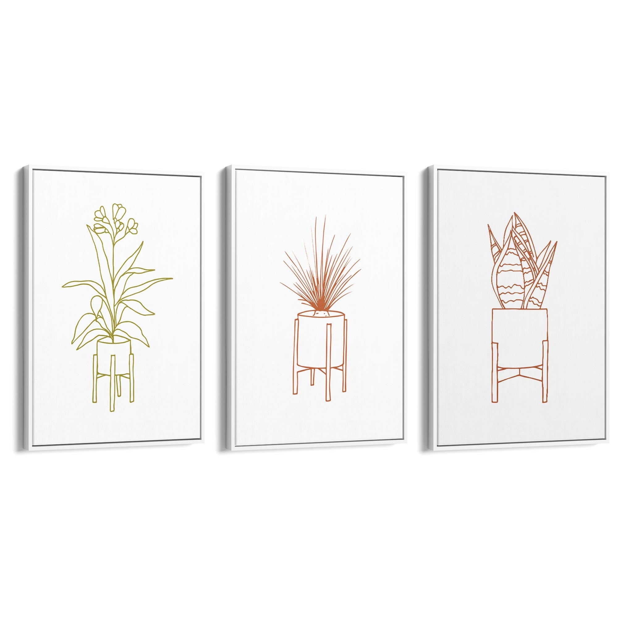 Set of Minimal House Plant Drawing Wall Art #1 - The Affordable Art Company