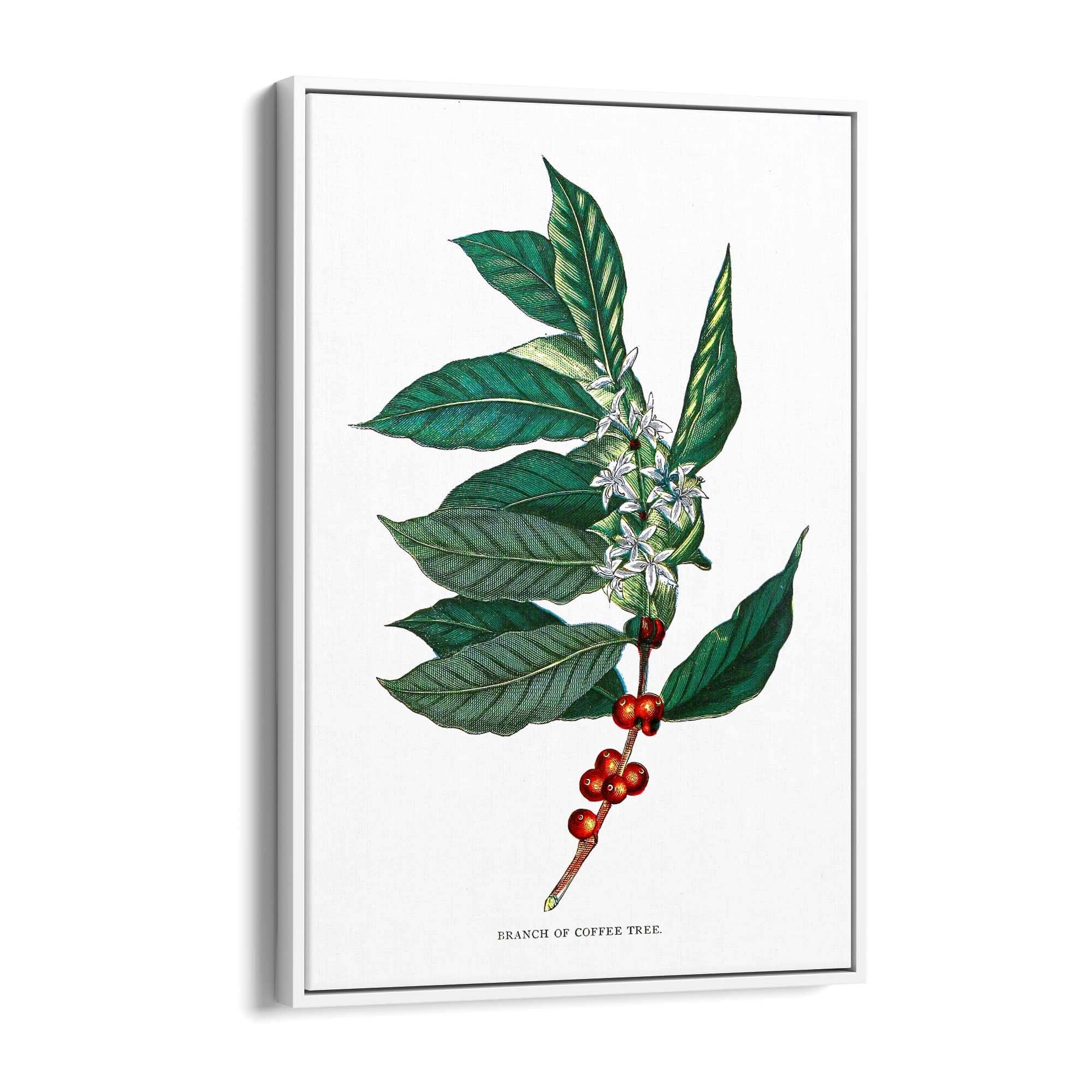 Coffee Branch Botanical Kitchen Cafe Wall Art #2 - The Affordable Art Company