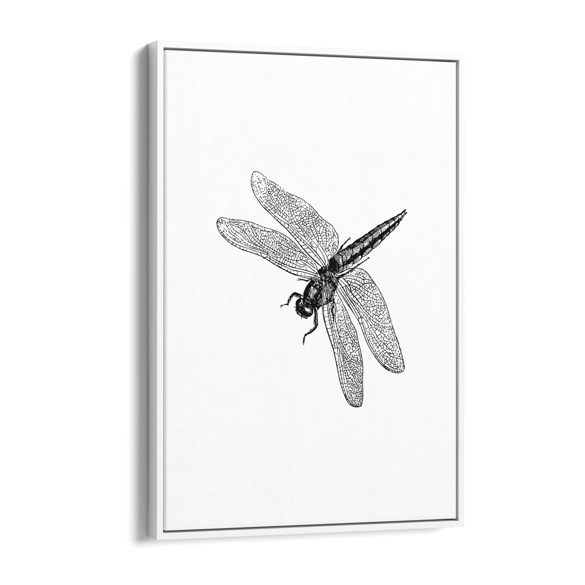 Dragonfly Drawing Insect Minimal Artwork Wall Art #2 - The Affordable Art Company