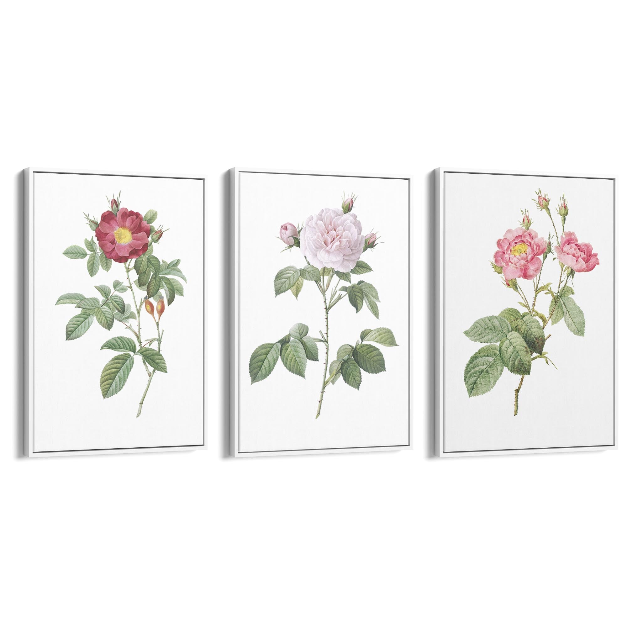 Set of Pink Floral Vintage Botanical Wall Art #3 - The Affordable Art Company