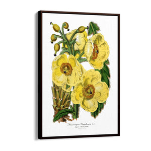 Yellow Flower Vintage Botanical Kitchen Wall Art #3 - The Affordable Art Company
