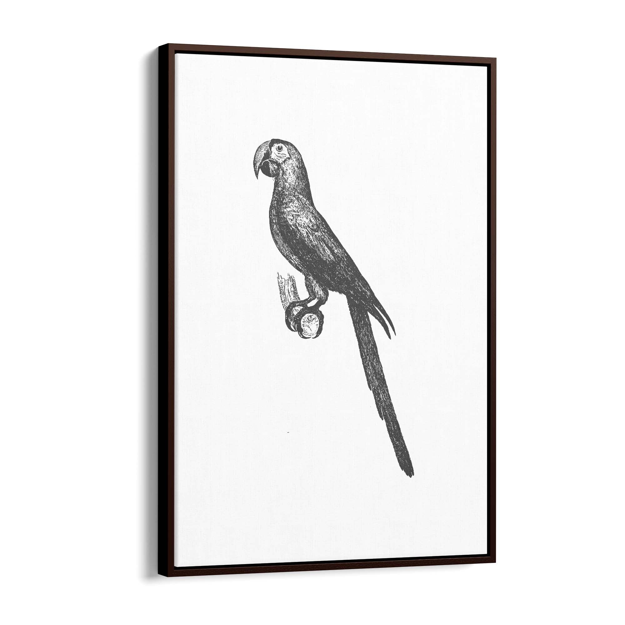 Parrot Drawing Minimal Exotic Bird Wall Art - The Affordable Art Company