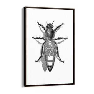 Queen Bee Drawing Insect Honey Wall Art - The Affordable Art Company