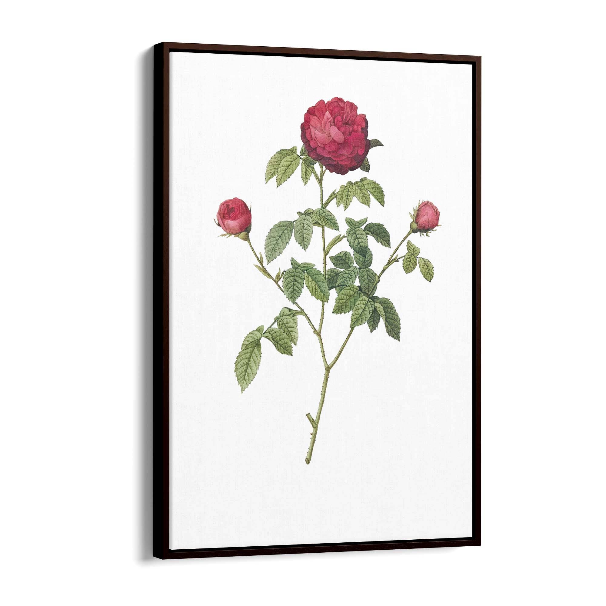 Flower Botanical Painting Kitchen Hallway Wall Art #3 - The Affordable Art Company
