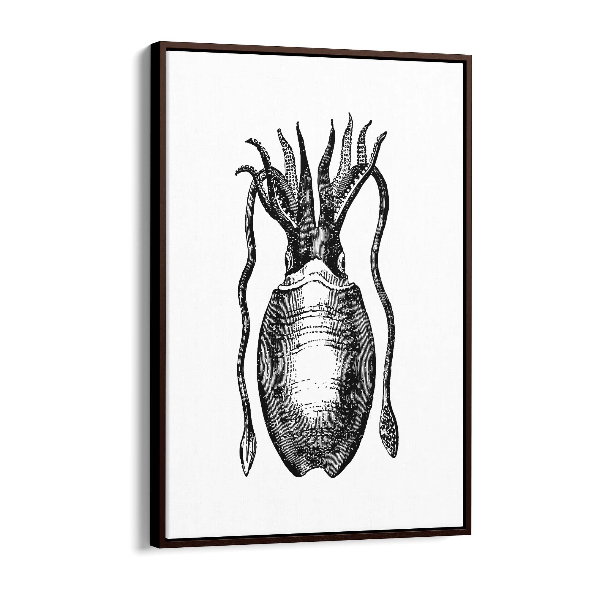 Squid Drawing Black and White Sealife Wall Art - The Affordable Art Company