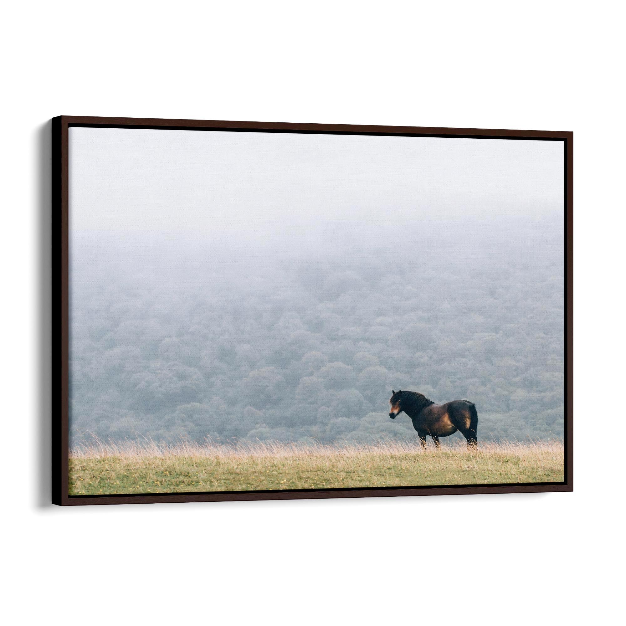 Lone Horse Landscape Photograph Nature Wall Art - The Affordable Art Company