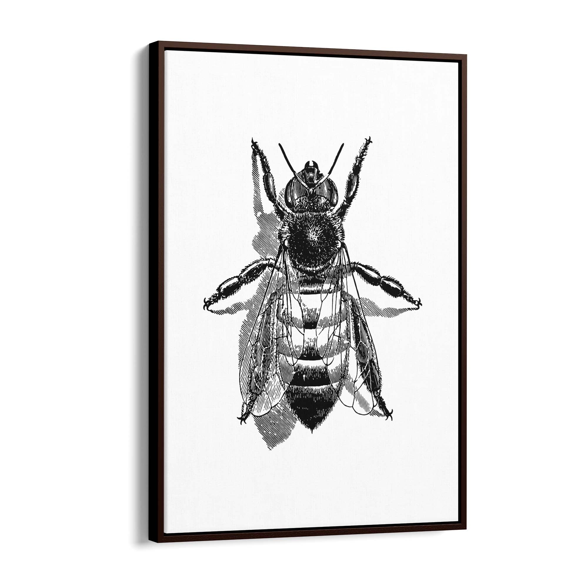 Worker Bee Drawing Insect Honey Wall Art - The Affordable Art Company