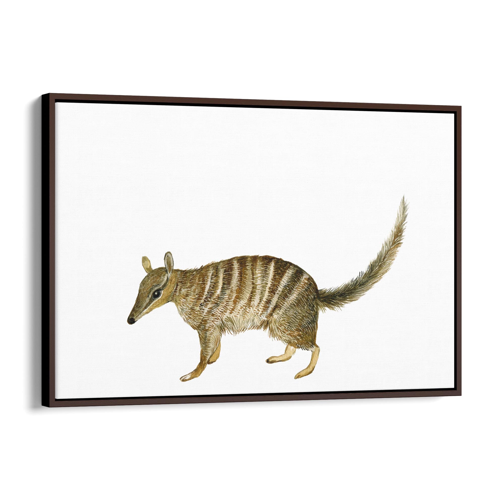 Australian Anteater Painting Animal Nursery Art - The Affordable Art Company