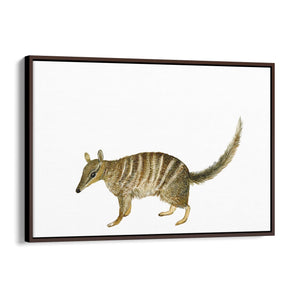 Australian Anteater Painting Animal Nursery Art - The Affordable Art Company