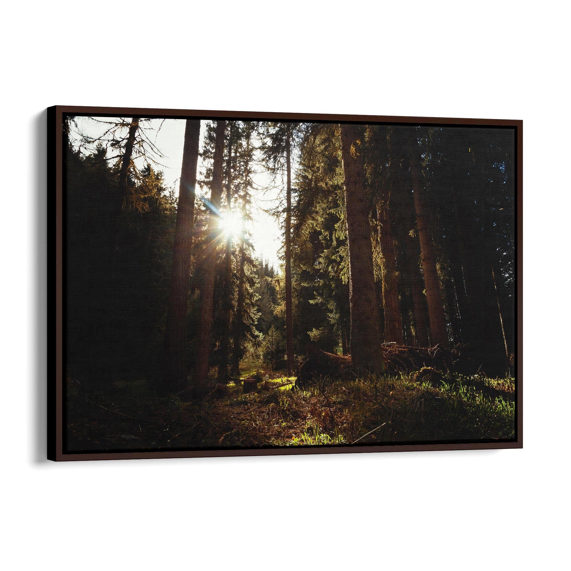 Morning Nature Sunset Photograph Wall Art - The Affordable Art Company