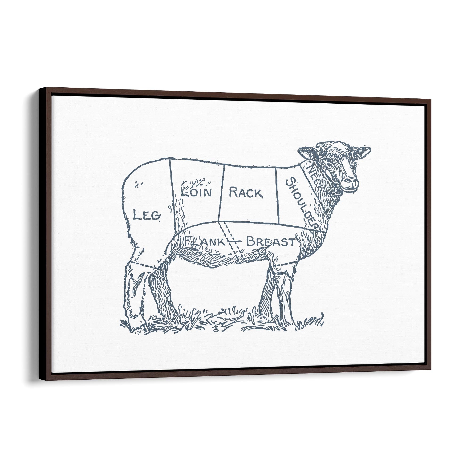Butcher Shop Lamb Drawing Meat Wall Art - The Affordable Art Company