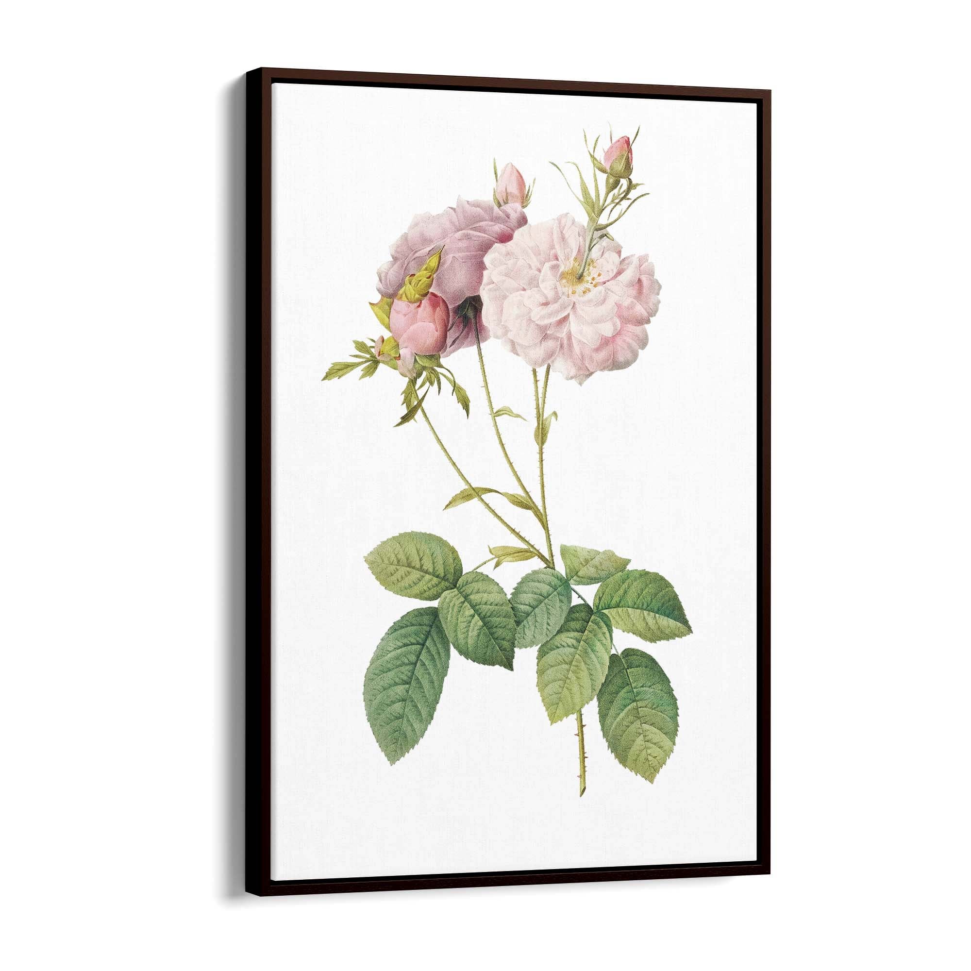 Flower Botanical Painting Kitchen Hallway Wall Art #42 - The Affordable Art Company