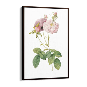 Flower Botanical Painting Kitchen Hallway Wall Art #42 - The Affordable Art Company