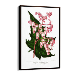 Vintage Pink Flowers Botanical Kitchen Wall Art #1 - The Affordable Art Company
