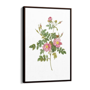 Flower Botanical Painting Kitchen Hallway Wall Art #47 - The Affordable Art Company