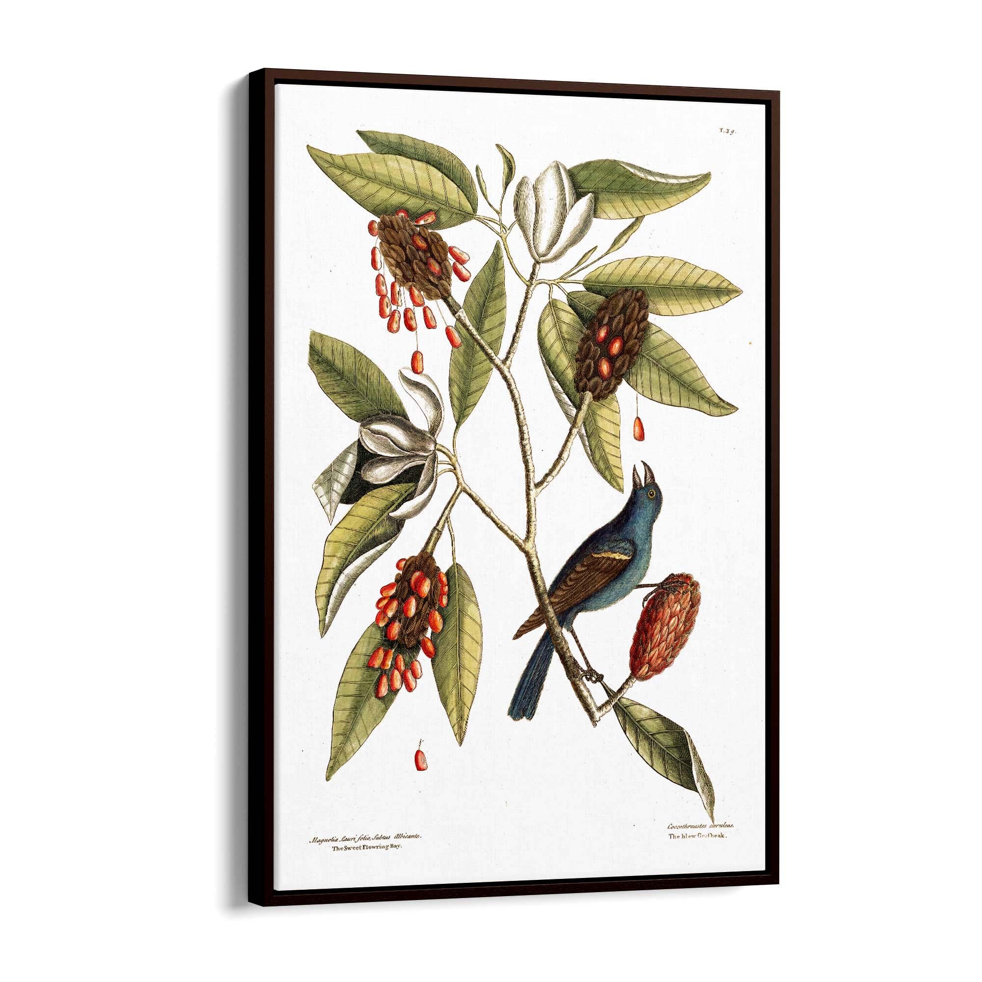 Sweet Bay Flower Botanical Kitchen Wall Art - The Affordable Art Company
