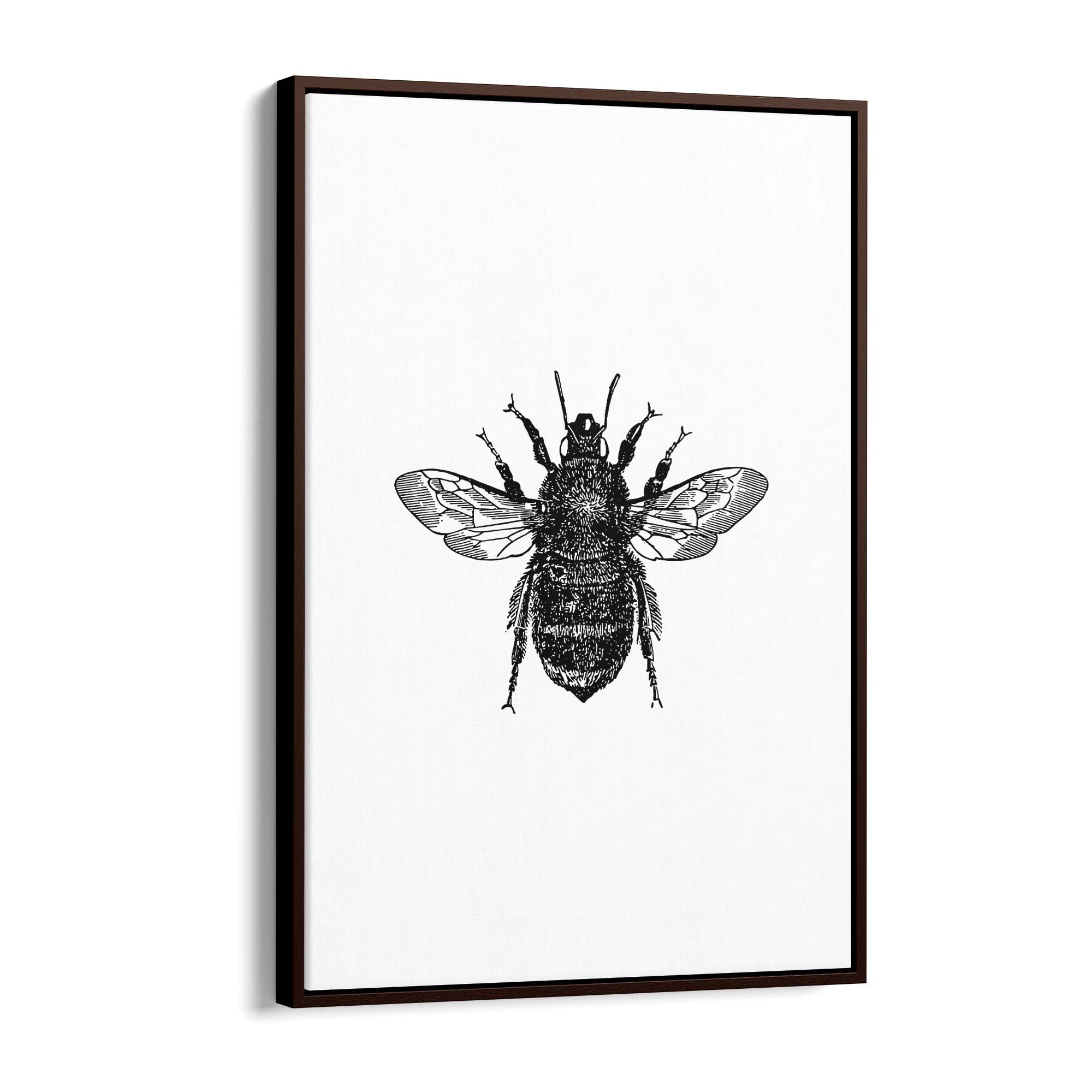 Bumblebee Drawing Insect Minimal Wall Art - The Affordable Art Company