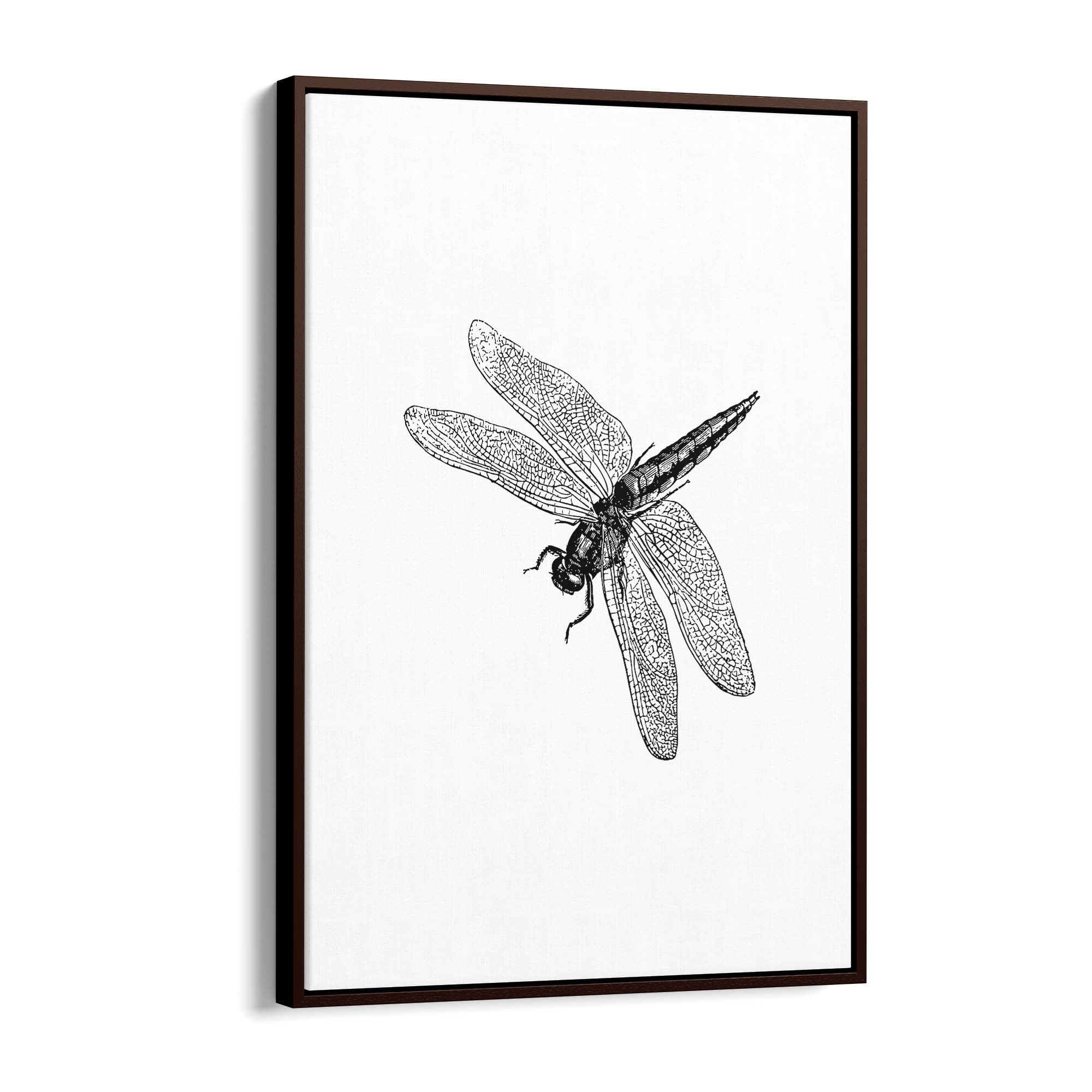 Dragonfly Drawing Insect Minimal Artwork Wall Art #2 - The Affordable Art Company