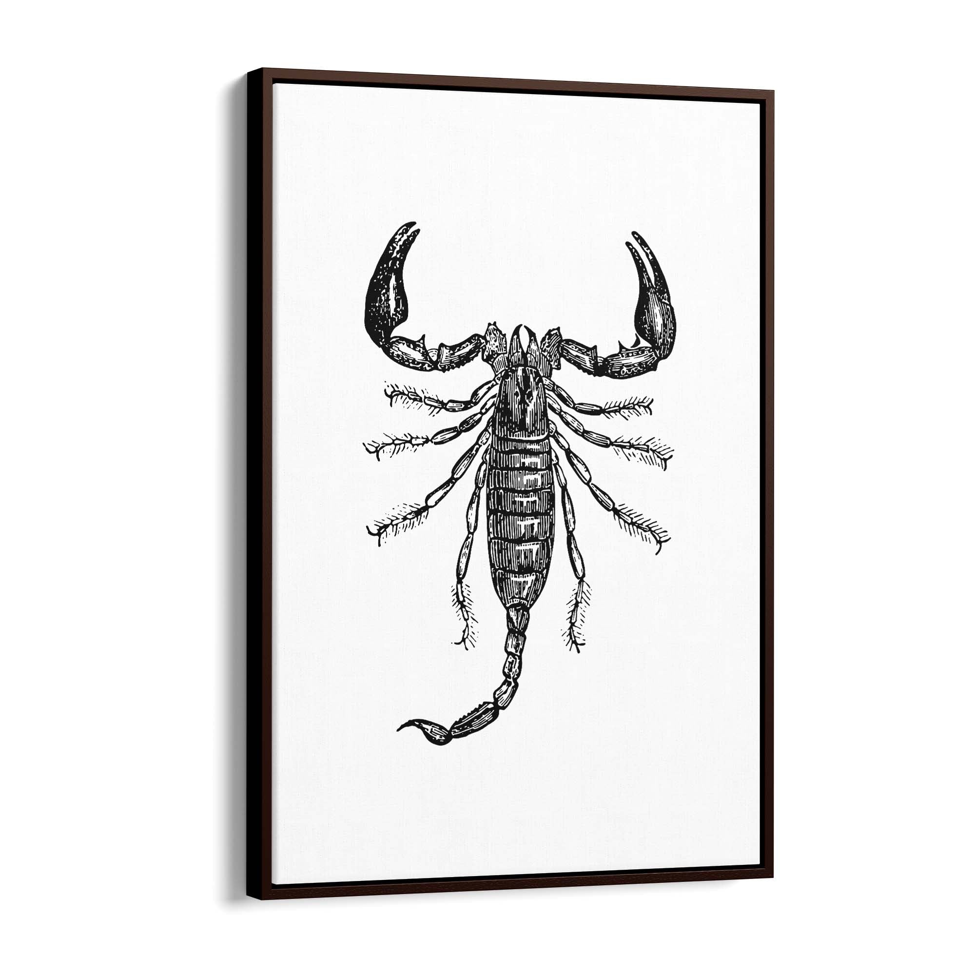 Scorpion Drawing Insect Man Cave Wall Art - The Affordable Art Company