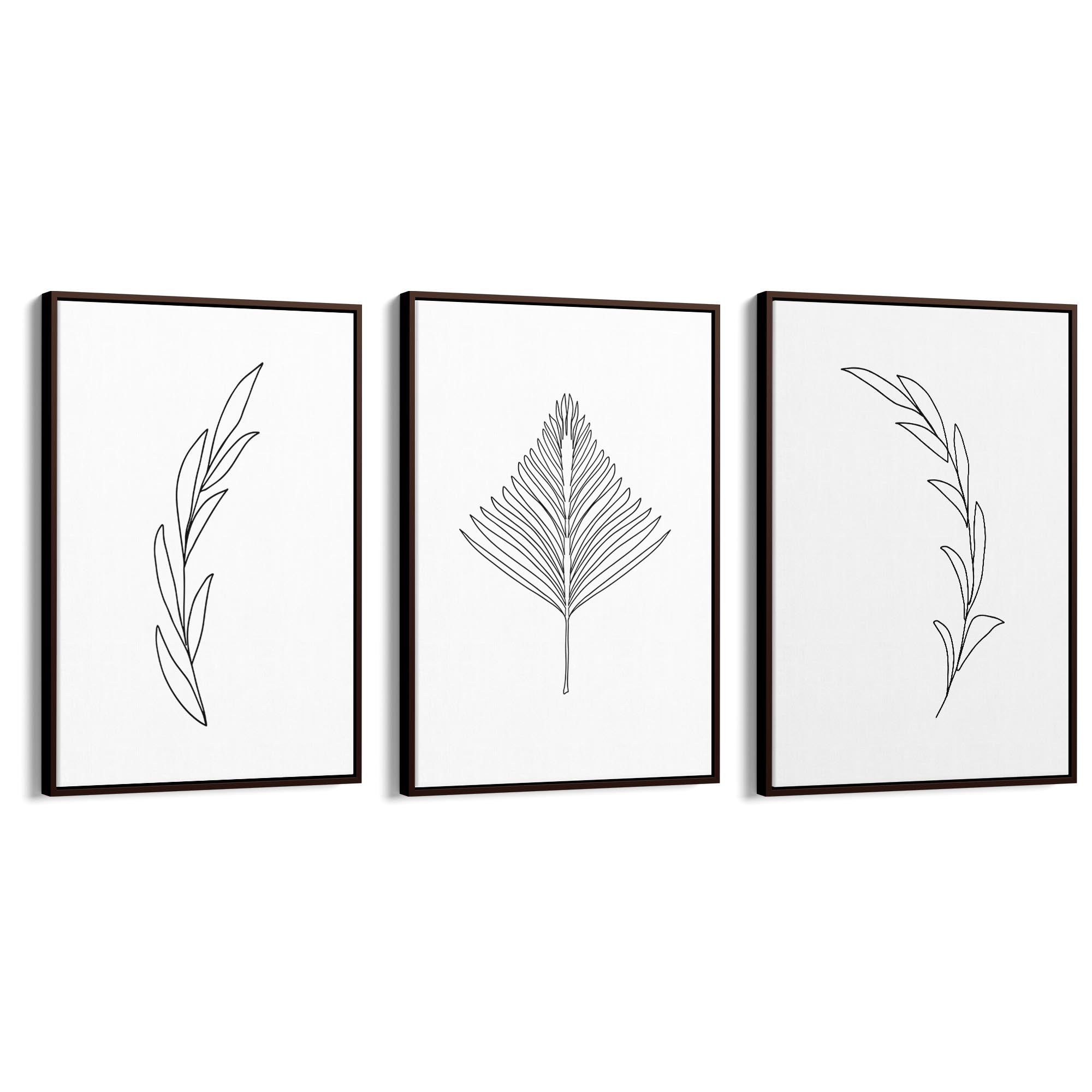 Set of Minimal Plant Line Drawings Wall Art #1 - The Affordable Art Company