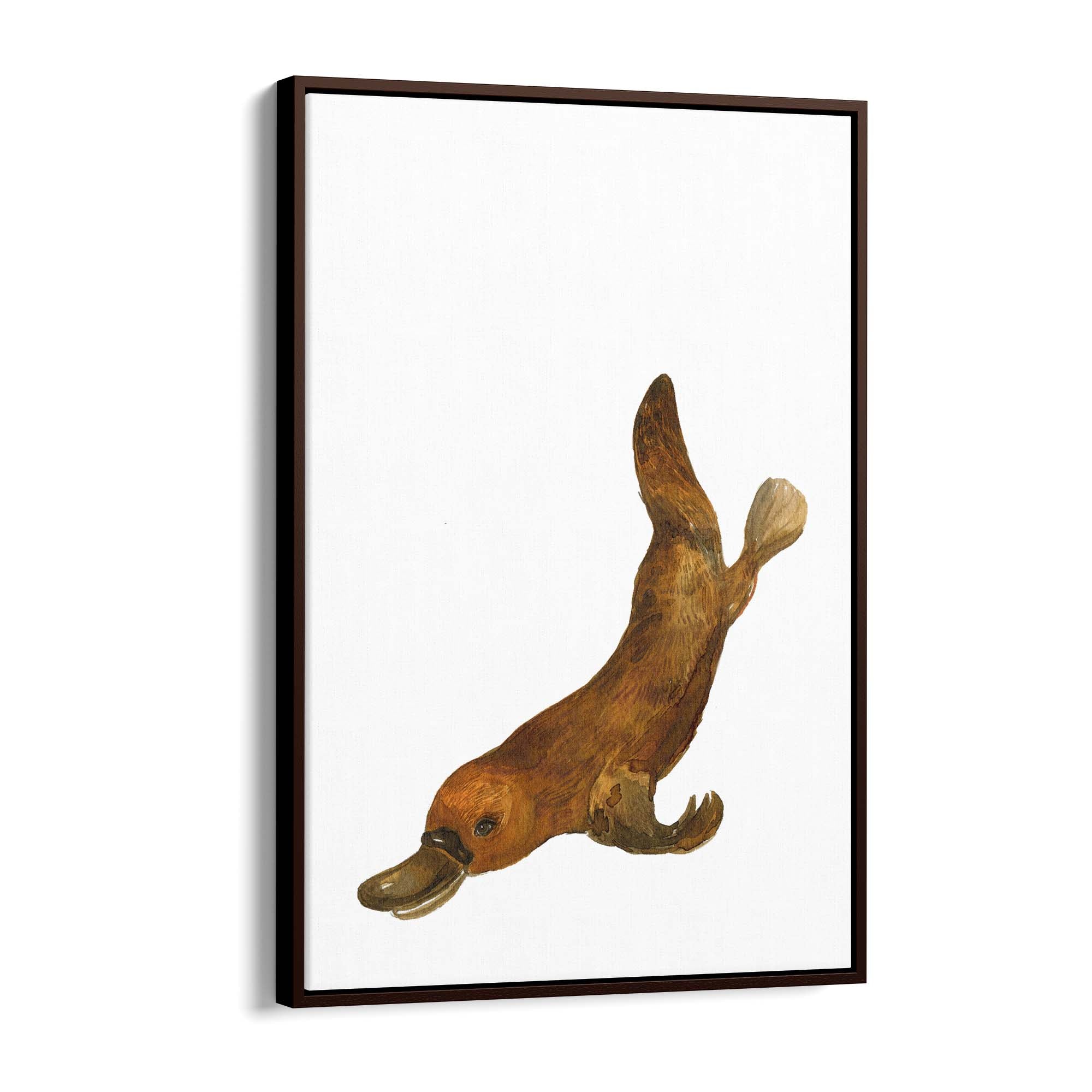 Australian Platypus Painting Animal Nursery Wall Art - The Affordable Art Company