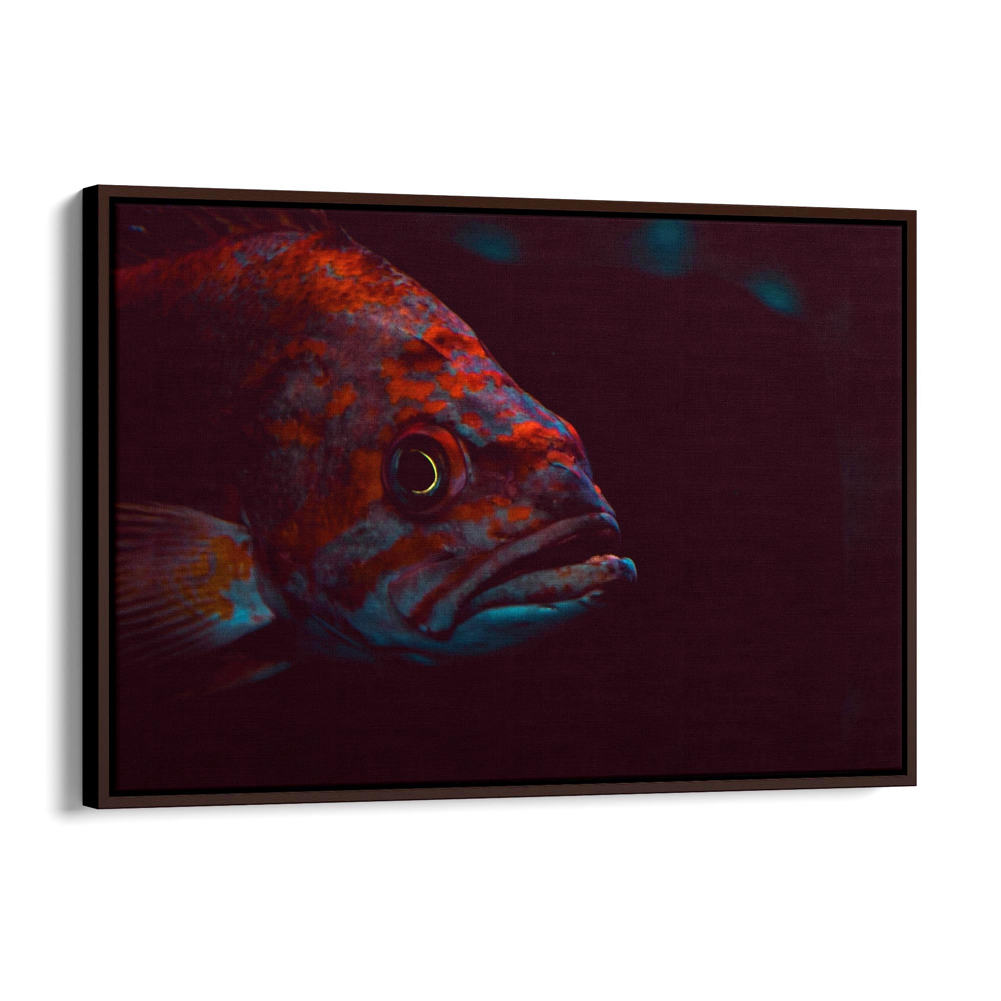 Majestic Fish Minimal Photograph Wall Art - The Affordable Art Company