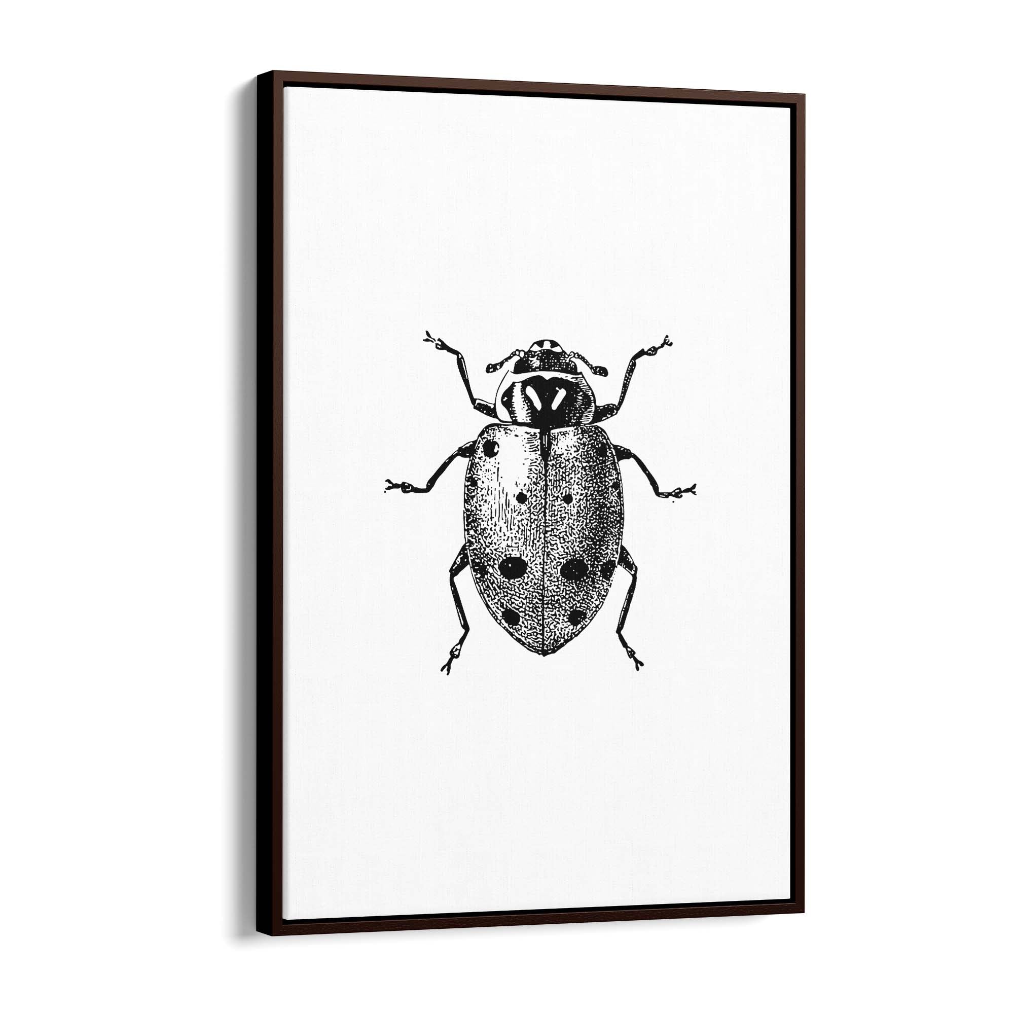 Ladybird Detailed Drawing Insect Office Wall Art - The Affordable Art Company