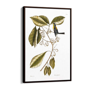 White Flower Vintage Botanical Kitchen Wall Art #1 - The Affordable Art Company
