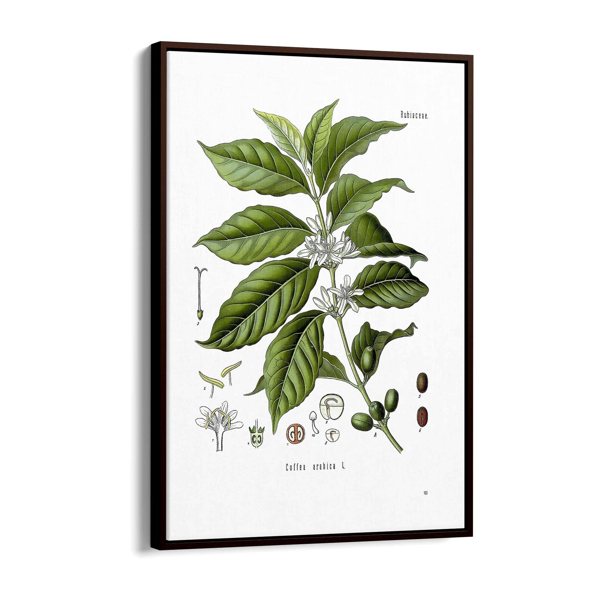 Coffee Branch Botanical Kitchen Cafe Wall Art #1 - The Affordable Art Company